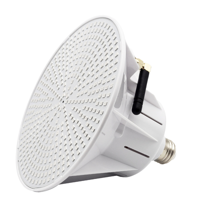 comprare Luce di vetro AC/DC 12V/24V -20 dello stagno PAR56 - temperatura di funzionamento 40℃ online manufacture