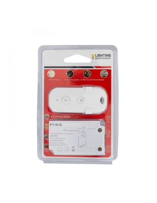controllo leggero a distanza 500W pratico 1000W della radio di 220V 120V